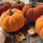 Needle felted wool autumn pumpkin decor, view 4